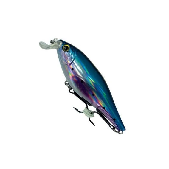 Text
